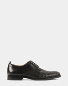 Steve Madden Donnis Dress Shoes in Black