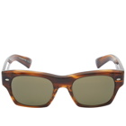 Oliver Peoples Men's 5514SU Sunglasses in Tuscany Tortoise