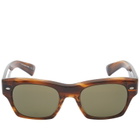 Oliver Peoples Men's 5514SU Sunglasses in Tuscany Tortoise