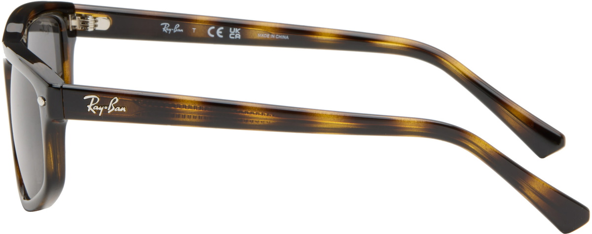 Ray-Ban Brown RB2225 Sunglasses