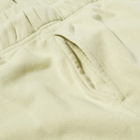 Colour Range Unisex Jogger in Lint