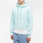 DIGAWEL Men's Reverse Weave Popover Hoody in Mint