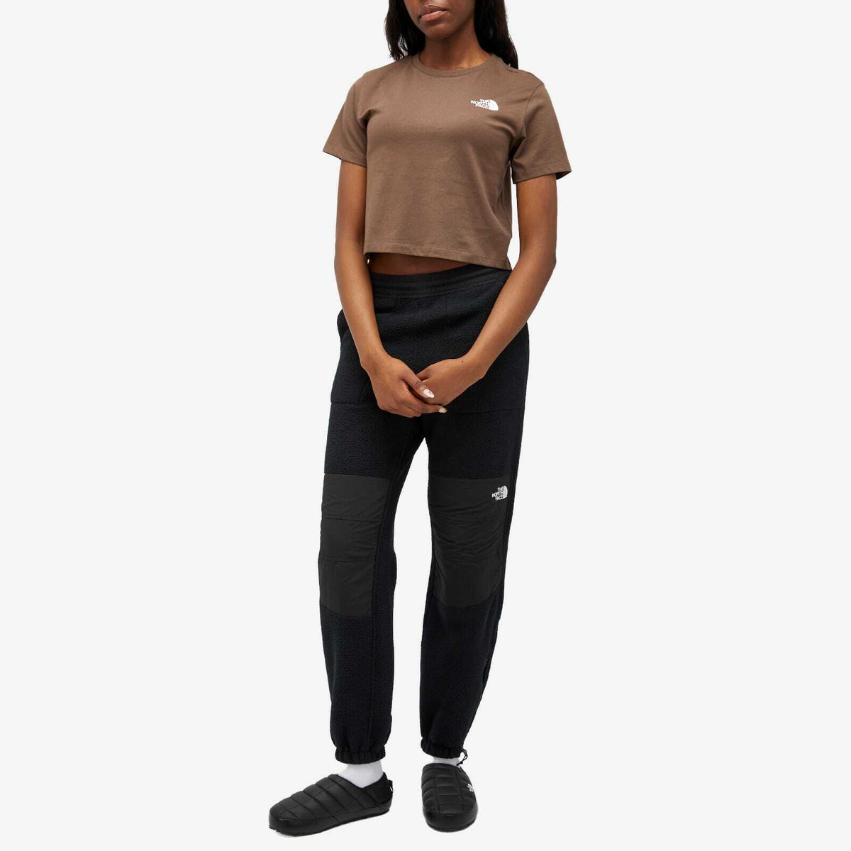 The North Face Women's Cropped Simple Dome T-Shirt in Brown