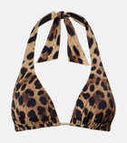 Dolce&Gabbana Leopard-print triangle bikini top