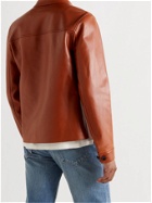 MR P. - Leather Blouson Jacket - Brown - XS