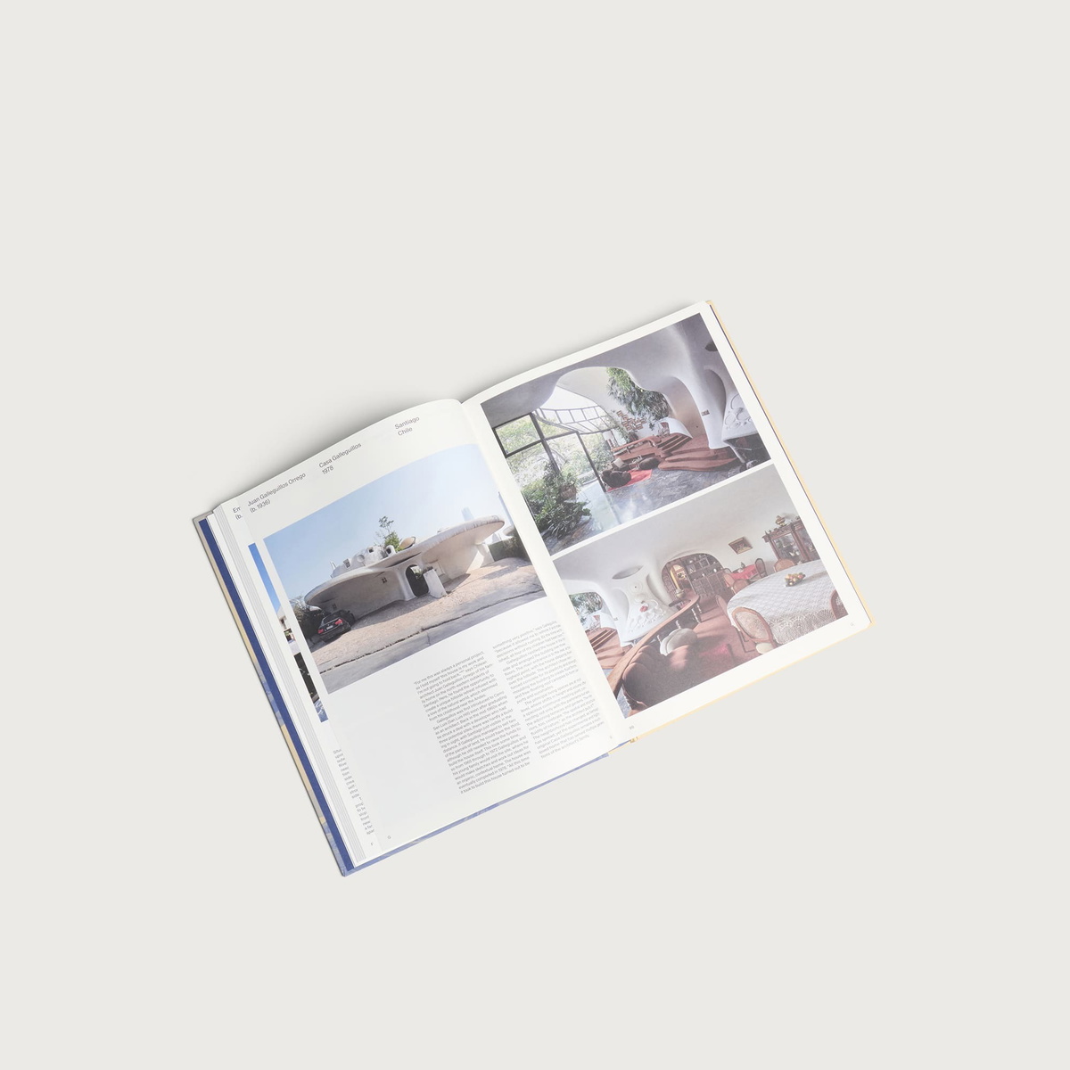 Phaidon Architects’ Houses in Dominic Bradbury
