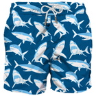 MC2 Saint Barth Man Classic Swim Shorts Sharks Print