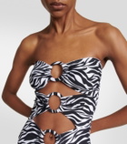 Alexandra Miro Anya zebra-print cutout swimsuit