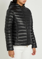 Moncler Igelhood Padded Hooded Nylon Jacket Black