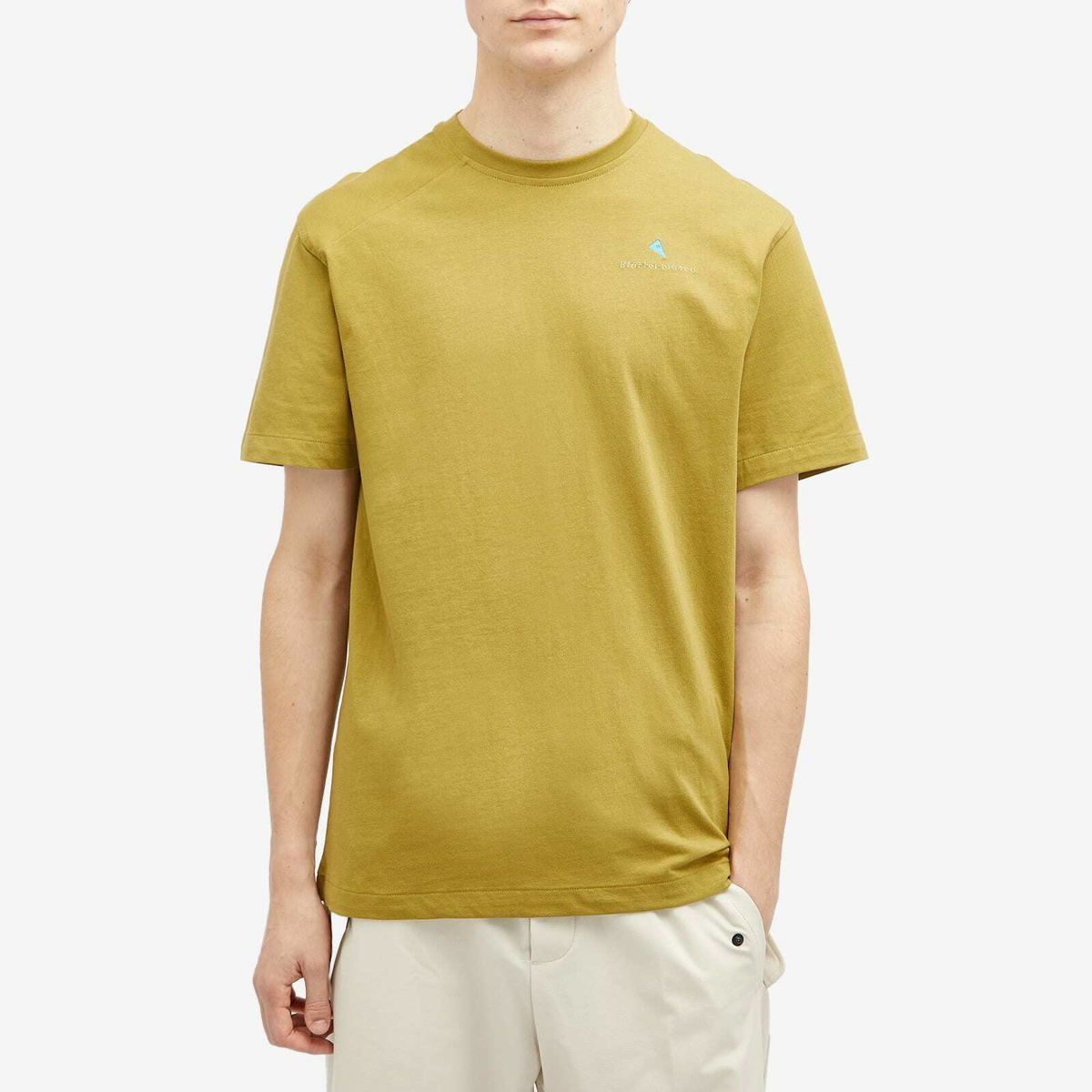 Klättermusen Men's Root Logo T-Shirt in Meadow Green