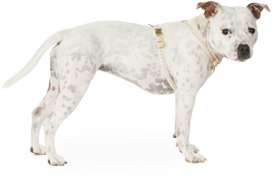 See Scout Sleep Beige & Gray Small Nice Grill Standard Harness