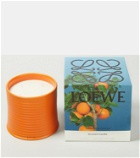 Loewe Home Scents Orange Blossom Large scented candle