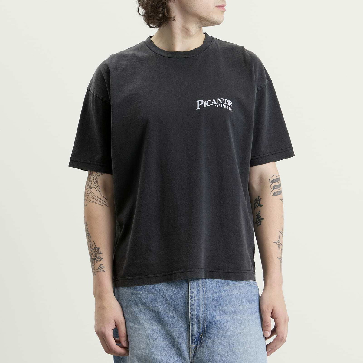 Picante Men's Peaks Patch T-Shirt in Vintage Black