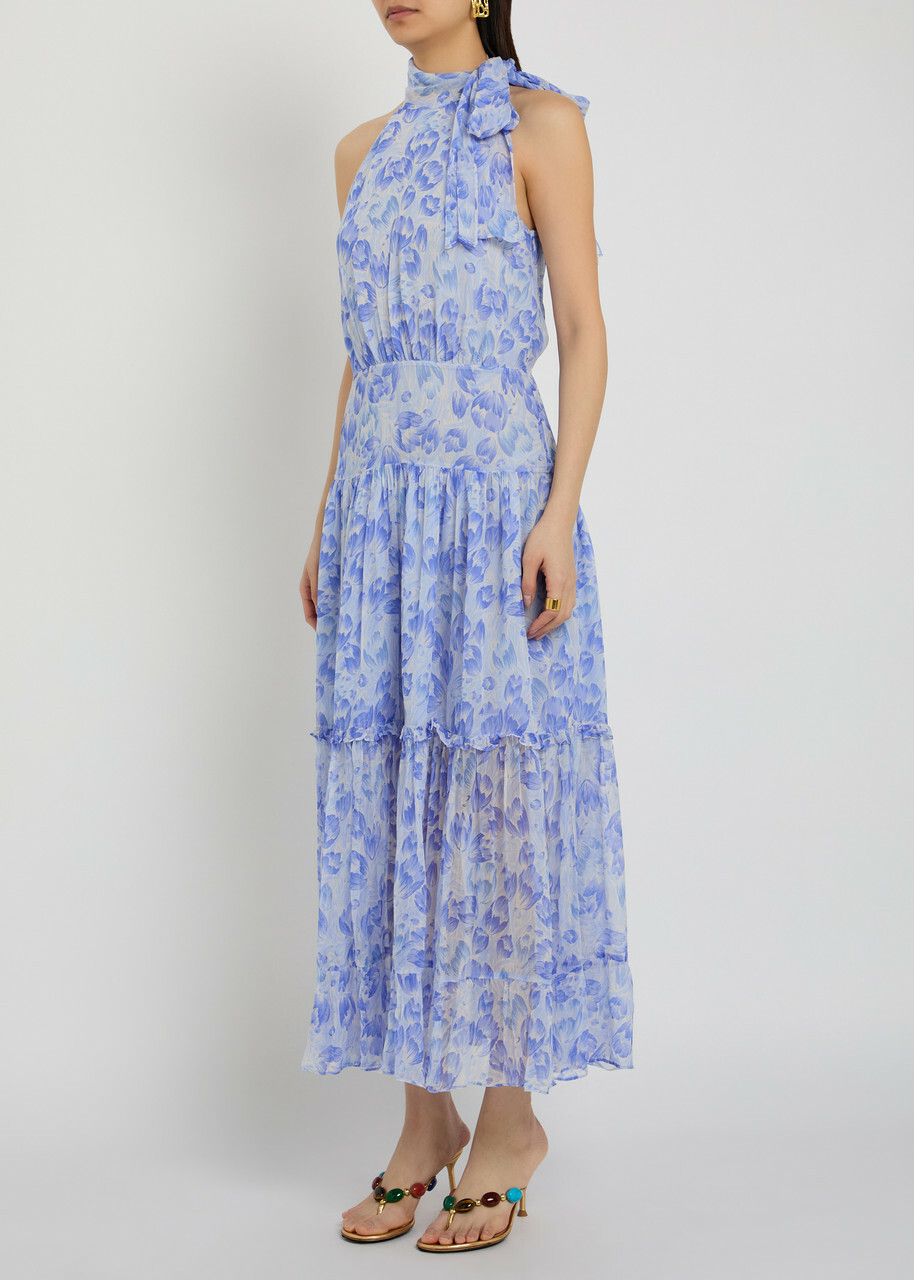 Rixo Abi Floral-print Chiffon Maxi Dress Light Blue