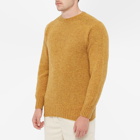 Howlin by Morrison Men's Howlin' Birth of the Cool Crew Knit in Gold