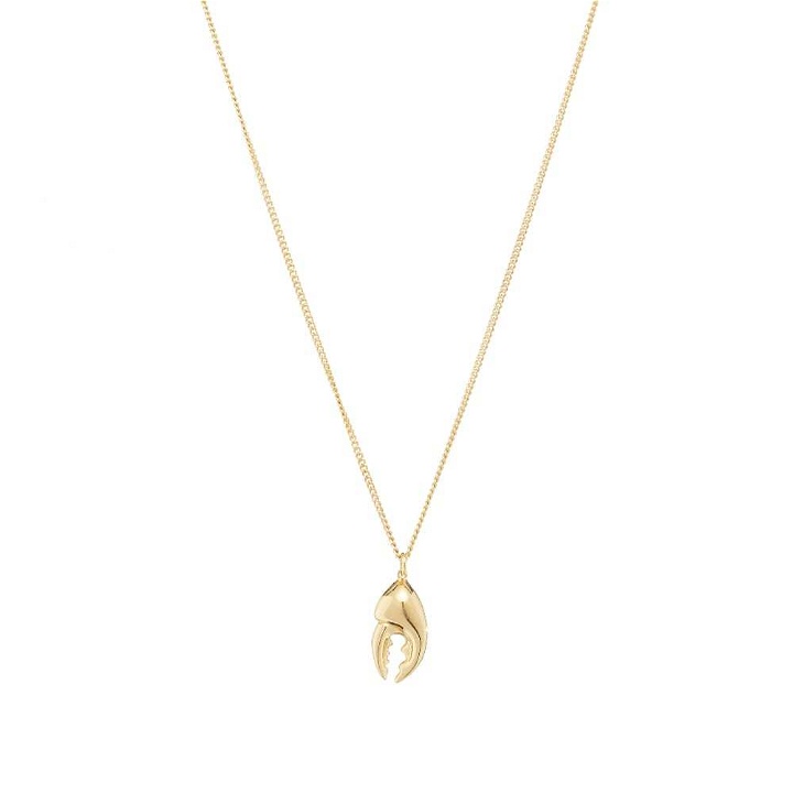 Photo: Miansai Lobster Claw Necklace