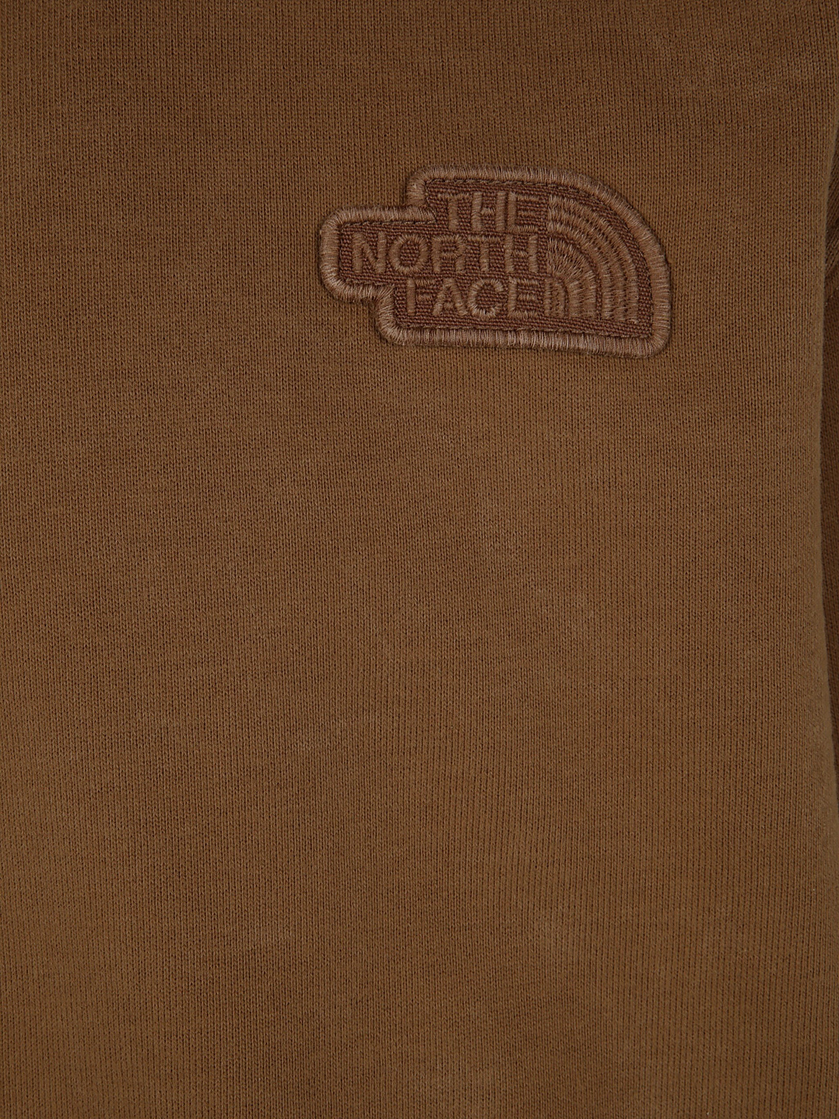 The North Face Man Nature Relaxed Crewneck in Brown