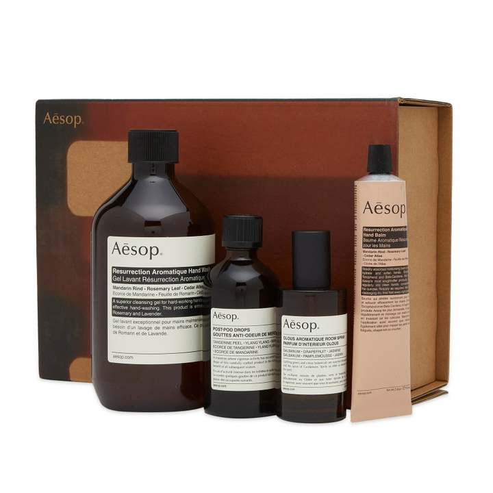 Photo: Aesop Screen 1 Elaborate Home Offering Set in Multi 