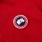 Canada Goose Men's Hybridge Knit Jacket in Red