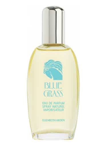 Blue Grass by Elizabeth Arden For Women Eau De Parfum Spray 3.3 Oz