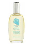 Blue Grass by Elizabeth Arden For Women Eau De Parfum Spray 3.3 Oz