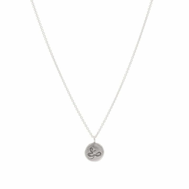 Photo: Frederick Grove Snake Pendant Necklace in Silver 