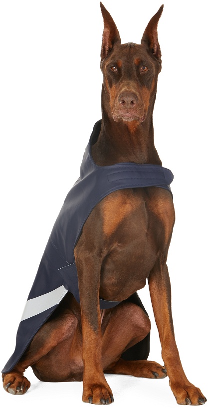 Photo: Stutterheim SSENSE Exclusive Navy Lightweight Dog Raincoat