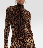 Dolce&Gabbana Leopard-print cotton-blend catsuit