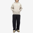 Nike Men's Apparel ACG Pullover Hoodie in Brown/Crimson
