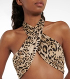 Reina Olga Showpony leopard-print swimsuit