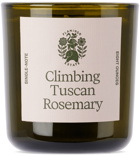 Flamingo Estate Climbing Tuscan Rosemary Candle, 8 oz