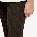 Jil Sander Women's Flare Leg Trousers in Fondente