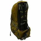 Osprey Talon Earth 22 Backpack in Tundra Green