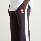 Casablanca Men's Loopback Laurel Tape Pintuck Jogger in Aubergine