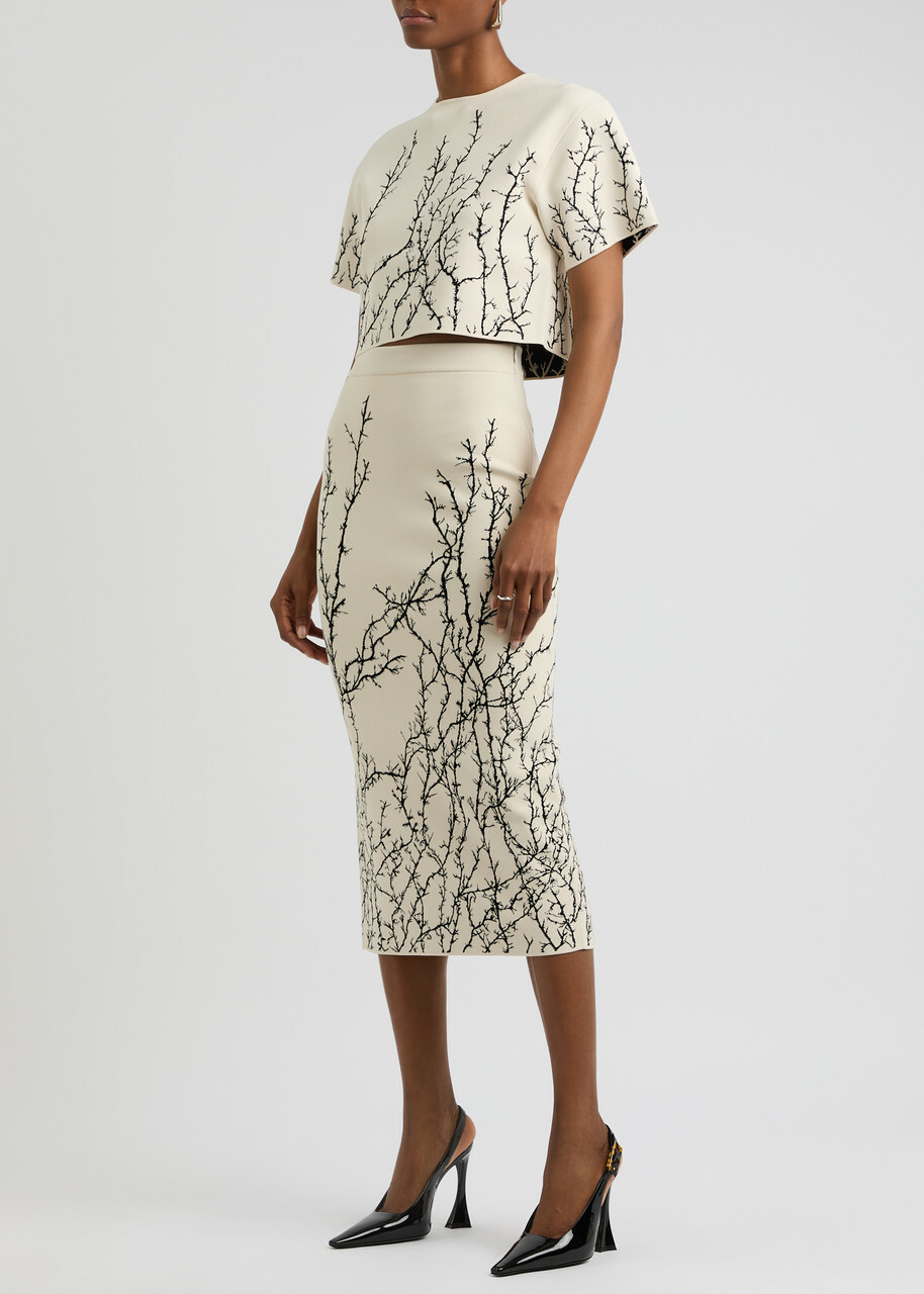Alexander Mcqueen Thorn Branches Knitted Crop top Multi Print