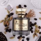 Paris Corner Unisex You're Drugged EDP Spray 3.4 oz Fragrances 6291108733691
