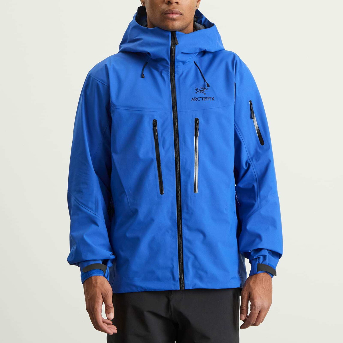 Arc'teryx Men's Alpha SV Gore-Tex Jacket in Vitality/Black