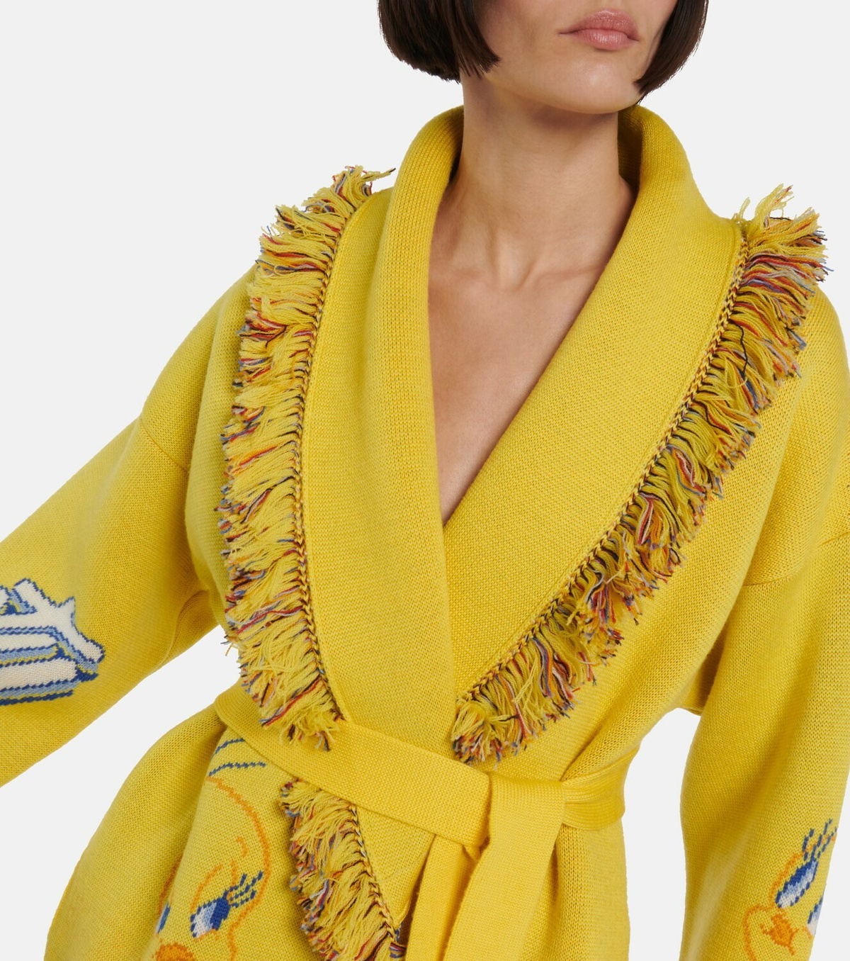 Alanui - x Looney Tunes Tweety Icon wool jacquard cardigan