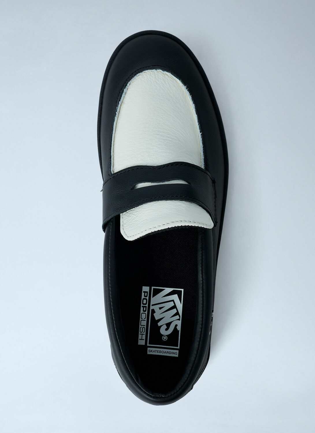 Vans Skate Loafers