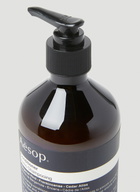 Aesop Conditioner