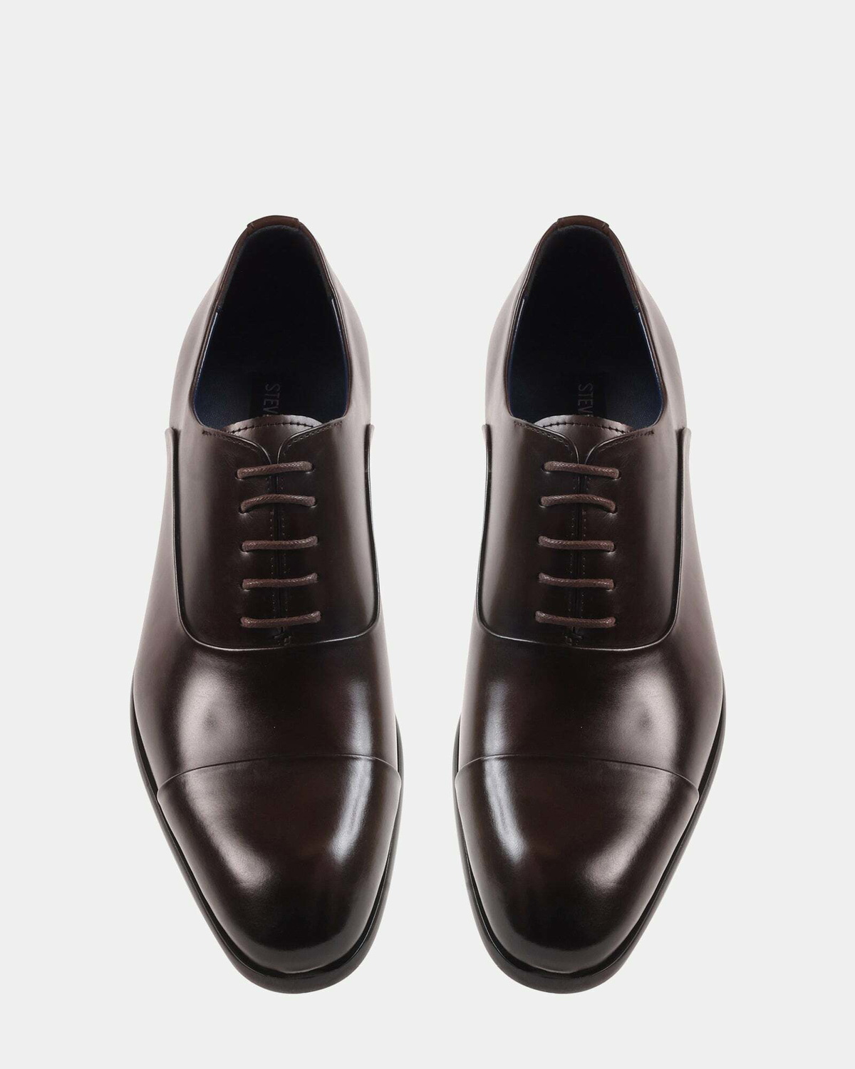 Steve Madden Moriatti Dress Shoes in Brown