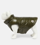 Moncler Genius - x Poldo Dog Couture dog coat