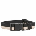HAY Flat Dog Collar - Medium/Large in Black/White 