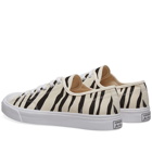 Converse Jack Purcell Zebra Print