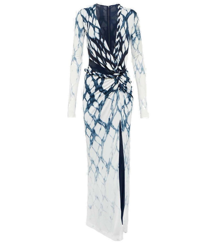 Dion Lee - Semi-sheer lace-paneled maxi dress Dion Lee