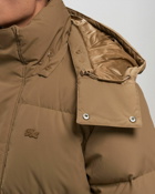 Lacoste Jacket Brown - Mens - Down & Puffer Jackets