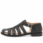 Loewe Men's Campo Sandal in Black