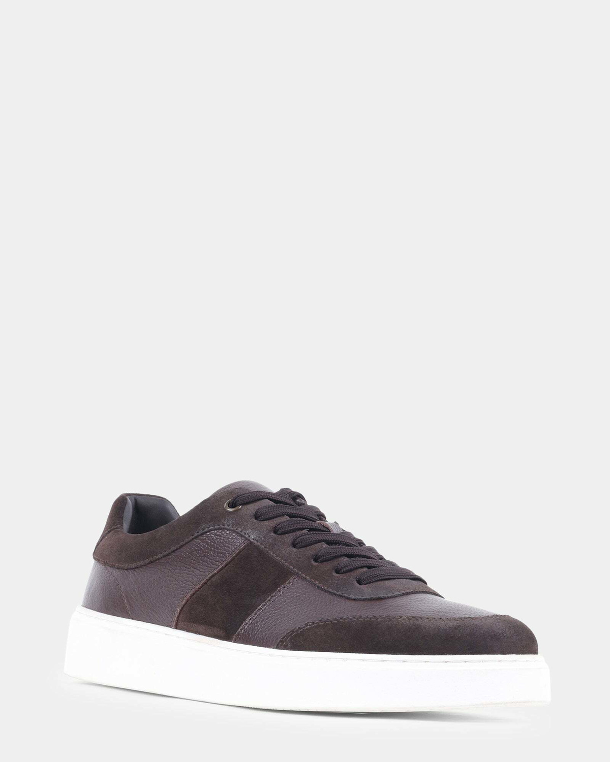 Steve Madden Addler Sneakers in Brown