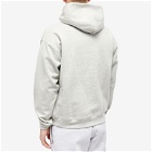 Museum of Peace and Quiet Men's Thirty Three Hoodie in Heather
