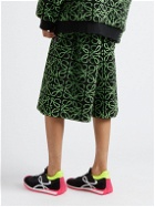 Loewe - Wide-Leg Leather-Trimmed Logo-Jacquard Bermuda Shorts - Green